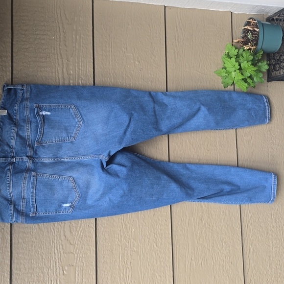 Torrid Jegging - Premium Stretch Medium Wash 20 Regular 20r - Picture 12 of 14